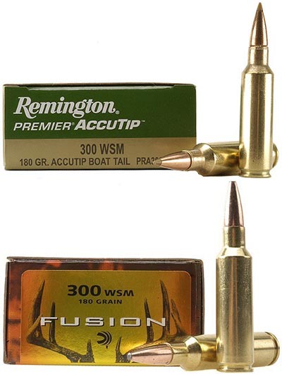 .300 Winchester Short Magnum