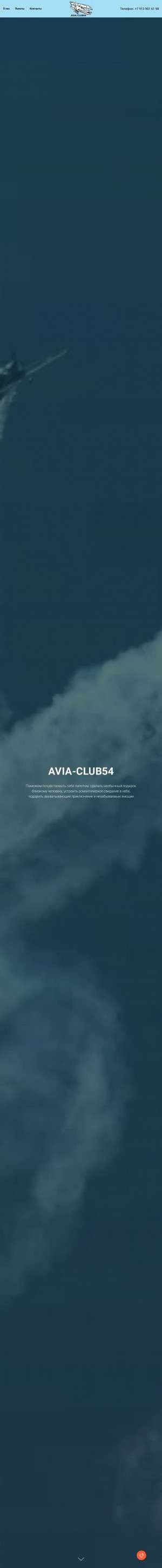 Предпросмотр для avia-club54.ru — Avia-club54