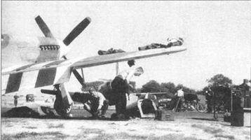 «Мустанги III» 133-го крыла в ходе технического осмотра. Аэродром Кулхем, 24 июня 1944 года. Самолеты, видимые на снимке, принадлежали британской 129-й эскадрильи, которую также обслуживали польские механики. Обратите внимание на грубо нанесенные «полосы вторжения», а также на отсутствие панели на выхлопных патрубках.