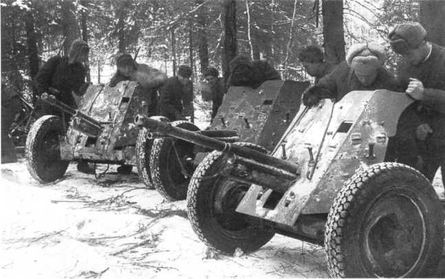 Бойцы Красной Армии осматривают трофейные немецкие 37-мм противотанковые орудия Раk 35/36. Калининский фронт, январь года (АСКМ).