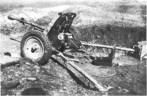 37-мм противотанковое орудие Раk 35/36 с установленной в ствол надкалиберной гранатой Stielgranate 41. Брянский фронт, лето 1943 года (АСКМ).