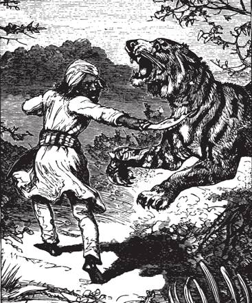 Рис. 28. Гуркх, убивающий тигра своим кривым ножом кукри. Показана поврежденная правая лапа тигра. По гравюре из книги Дж.Г. Вуда «Человек и его деятельность» (1886)