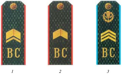 Приложение 6. Погоны и знаки различия военнослужащих Вооруженных Сил Российской Федерации