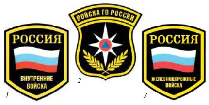 Приложение 6. Погоны и знаки различия военнослужащих Вооруженных Сил Российской Федерации