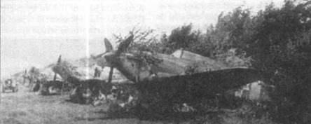 Самолеты Escadrila 53 Vinatoare, замаскированные на опушке леса, аэродром Зельцы, Одесса, лето 1941 года. Машины несут полный набор элементов быстрой идентификации.