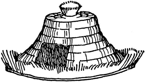 Амигаса — «соломенная шляпа»