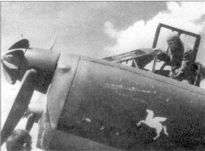 Капот двигателя одного из венгерских самолетов Fw-189 А, хорошо видна нарисованная через трафарет белой краской эмблема в виде пегаса. Пегас считался эмблемой эскадрильи 3/1 Королевских ВВС Венгрии.