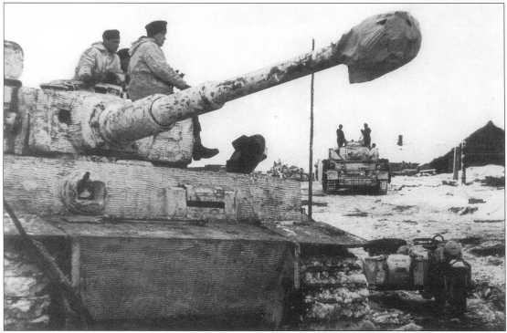 «Тигры» 501-го батальона на советско-германском фронте. Март 1944 года.