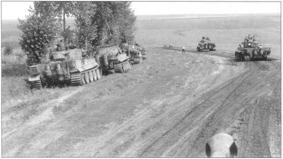 «Тигры» 503-го батальона в боях на Курской Дуге. Июль-август 1943 года.