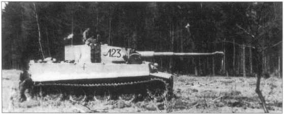 Pz.Kpfw.VI(H) 503-ro батальона в районе Тернополя. Номер «123» нанесен красной краской. Советско-германский фронт, весна 1944 года.
