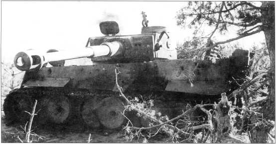 505-й тяжелый танковый батальон (schwere Panzer-Abteilung 505)