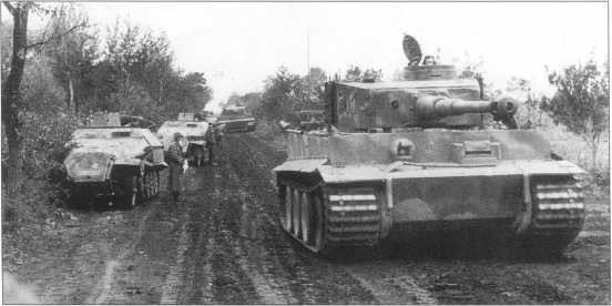 «Тигр I» (номер «C01») в районе Днепра. Советско-германский фронт, сентябрь 1943 года.