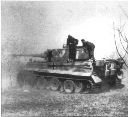 8-я рота 2-го танкового полка дивизии СС «Рейх» (schwere SS-Panzer-Kompanie 8)