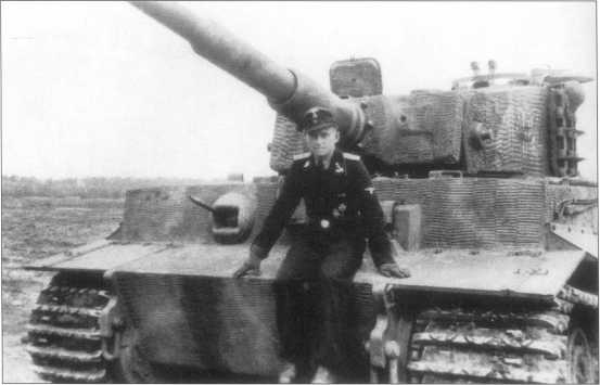 «Тигр I» позднего периода выпуска 102-го батальона СС. Номер танка «142» обведен белым контуром. Окраска состоит из коричневых и оливково-зеленых пятен. Разделительные полосы — желтые (Dunkel Gelb). Голландия, конец апреля 1944 года.