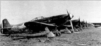 Сталин подарил самолеты французским пилотам, следуя старинной французской традиции возвращаться домой с оружием. По возвращении во Францию красные звезды были закрашены, вместо них были нанесены французские трехцветные розетки.