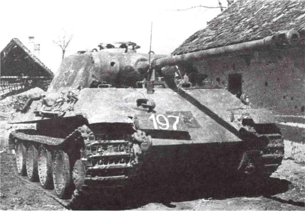 Трофейный танк «Пантера» из состава 366-го <a href='https://arsenal-info.ru/b/book/3099897582/67' target='_self'>самоходно-артиллерийского полка</a>. 3-й Украинский фронт, 4-я гвардейская армия, март 1945 года. Номера и кресты на танке закрашены и поверх них нарисованы красные звёзды с белой окантовкой (АСКМ).