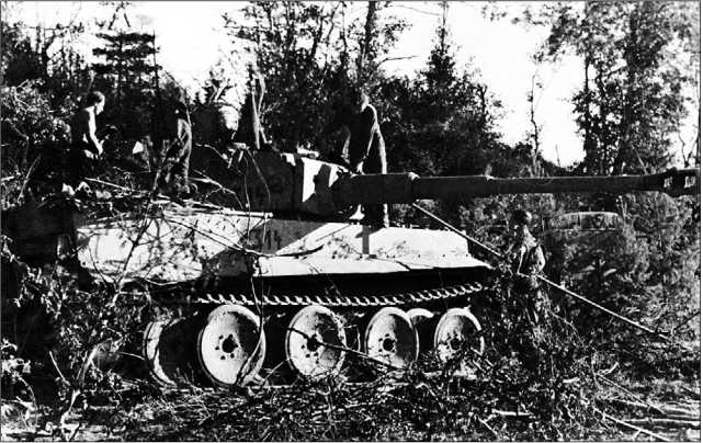 Экипаж одного из «тигров» 502-го тяжелого танкового батальона маскирует свой танк.