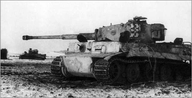 «Тигры», подбитые в районе Гиленкирхена. Западный фронт, зима 1945 года.