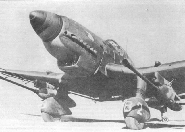 Один из ранних экземпляров Ju 87 G-1. На капоте двигателя видна эмблема части истребителей танков.